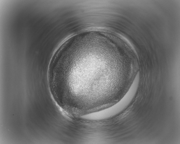 X0000069791050200606091738