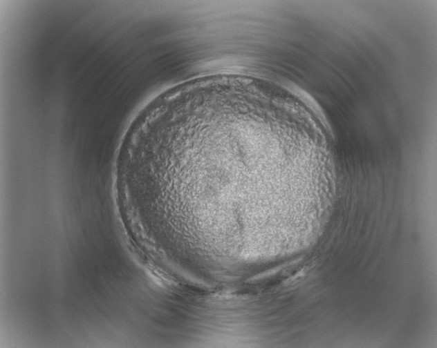 X0000069791051200606091738