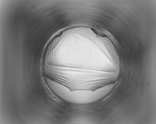 X0000069791052200606091738