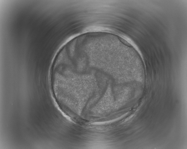 X0000069791053200606091738