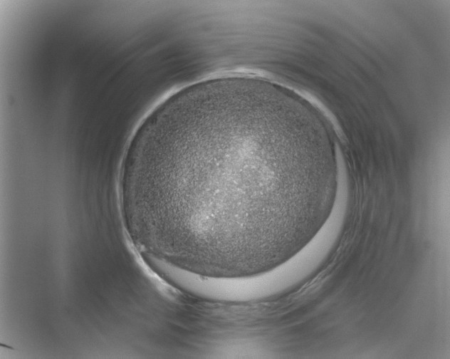 X0000069791054200606091738