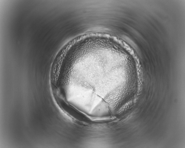 X0000069791055200606091738