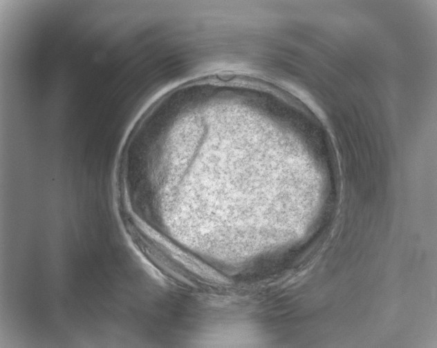 X0000069791056200606091738