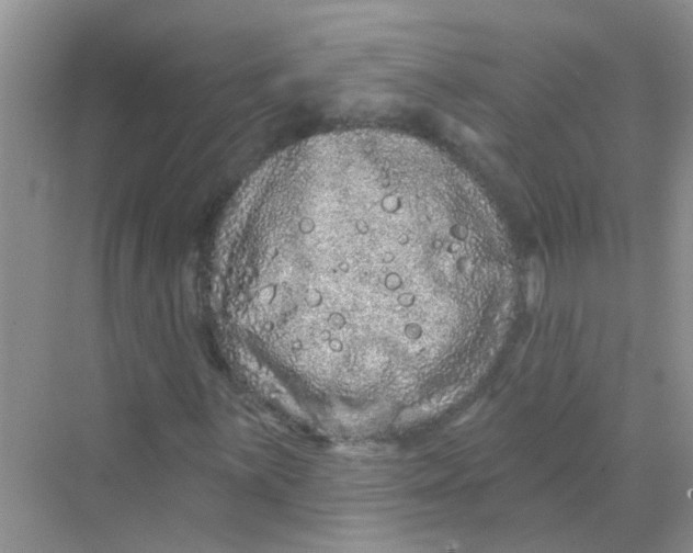 X0000069791059200606091737