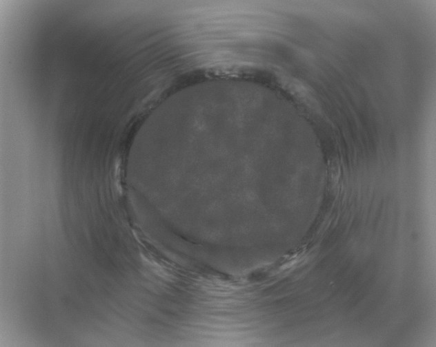 X0000069791060200606091737