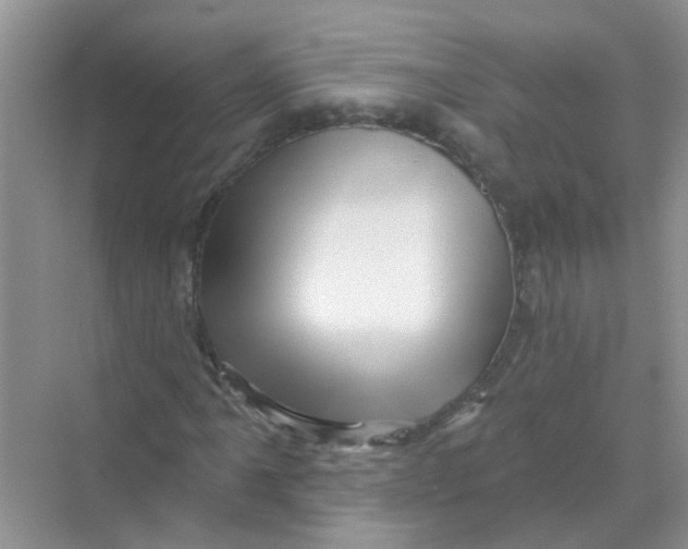 X0000069791061200606091737