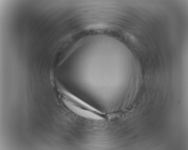 X0000069791062200606091737