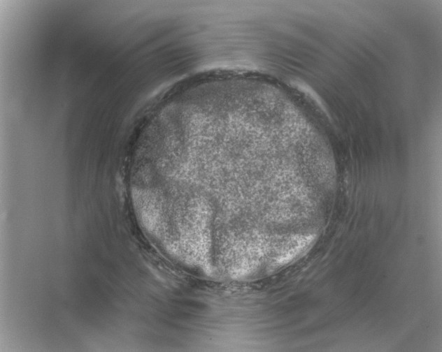 X0000069791064200606091737