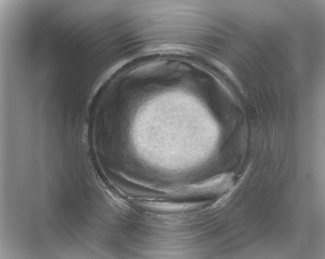 X0000069791066200606091737