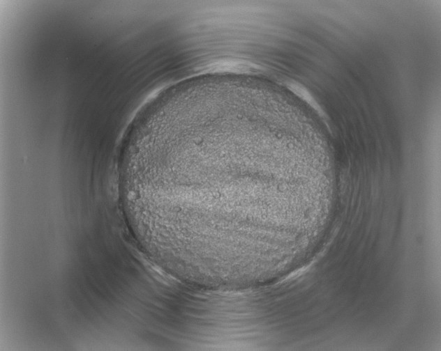 X0000069791067200606091737