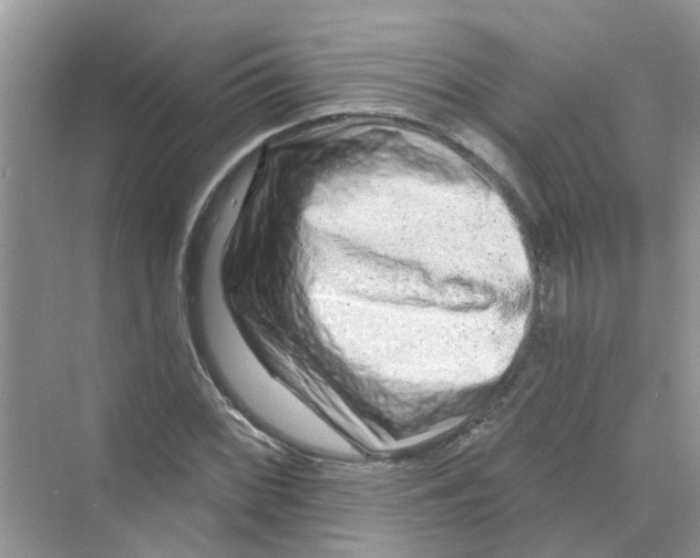 X0000069791068200606091737