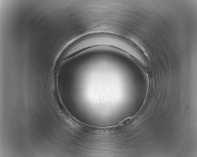 X0000069791069200606091737