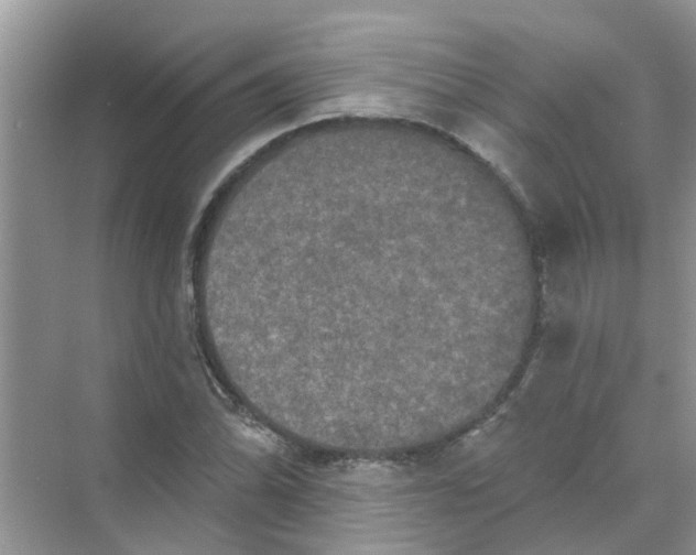 X0000069791070200606091737