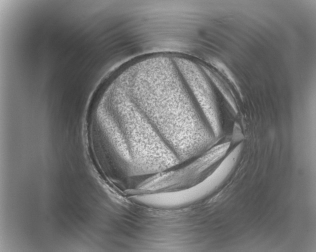 X0000069791072200606091737