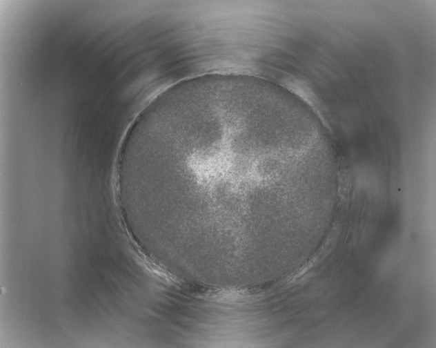 X0000069791074200606091737