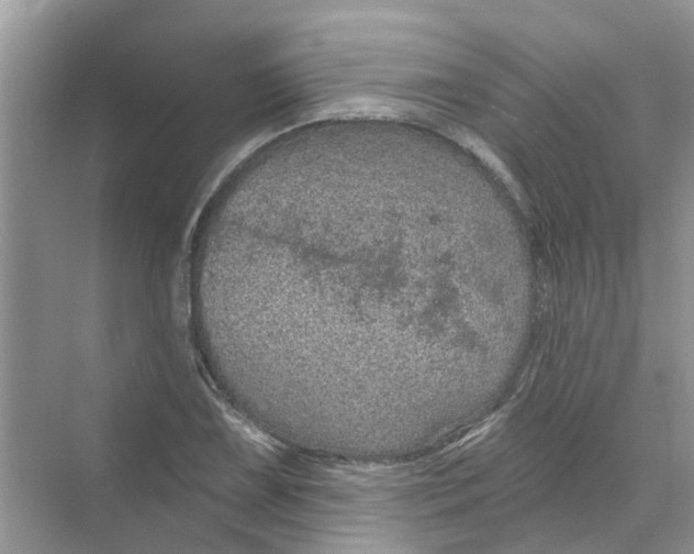 X0000069791075200606091737