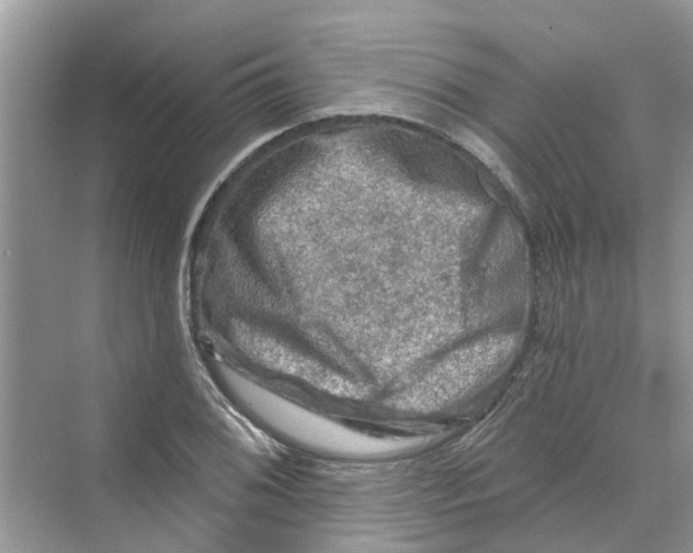 X0000069791076200606091737