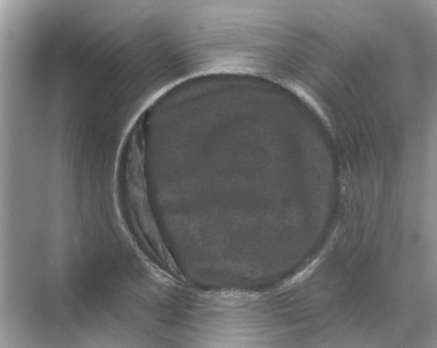 X0000069791077200606091737