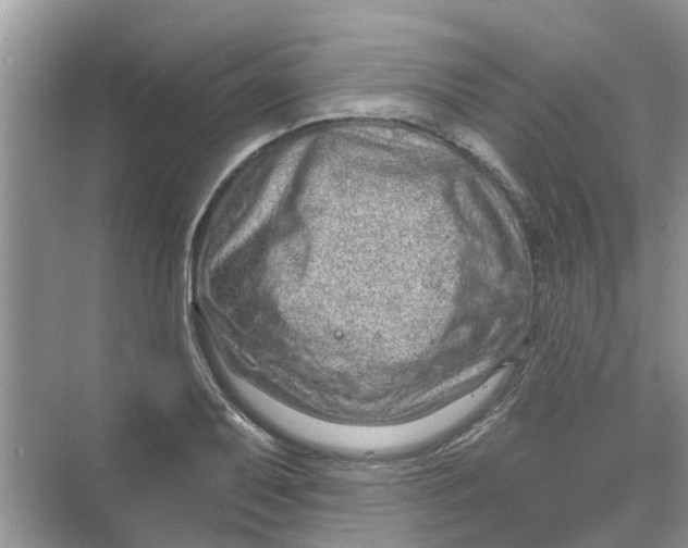 X0000069791079200606091737