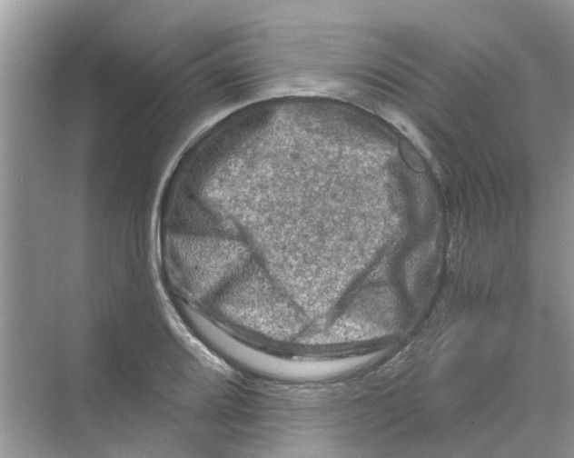 X0000069791080200606091737