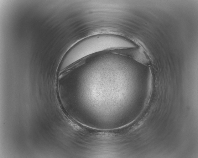 X0000069791081200606091737