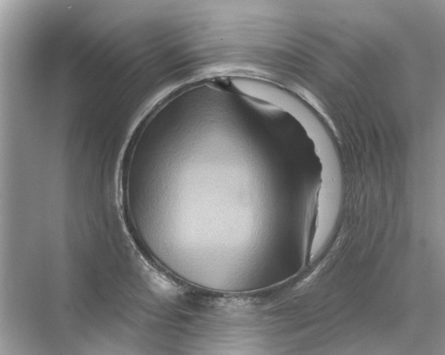 X0000069791082200606091737