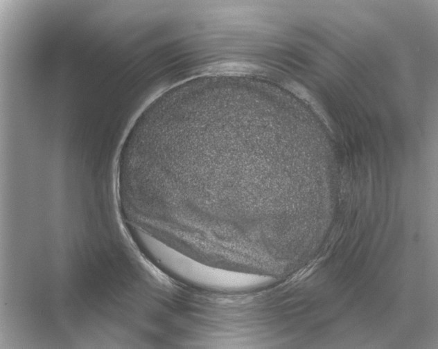 X0000069791083200606091737