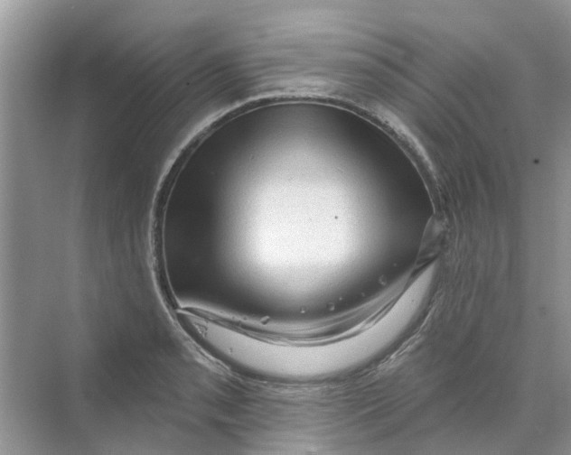 X0000069791085200606091737