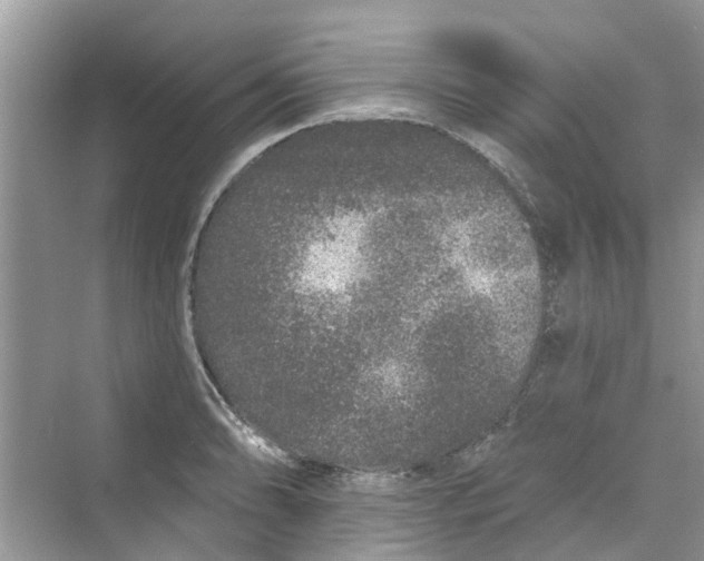 X0000069791086200606091737