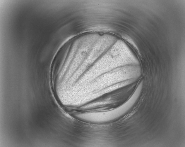 X0000069791087200606091737