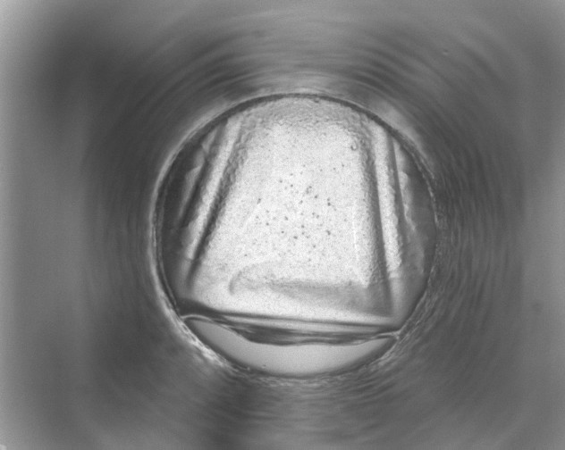 X0000069791088200606091737