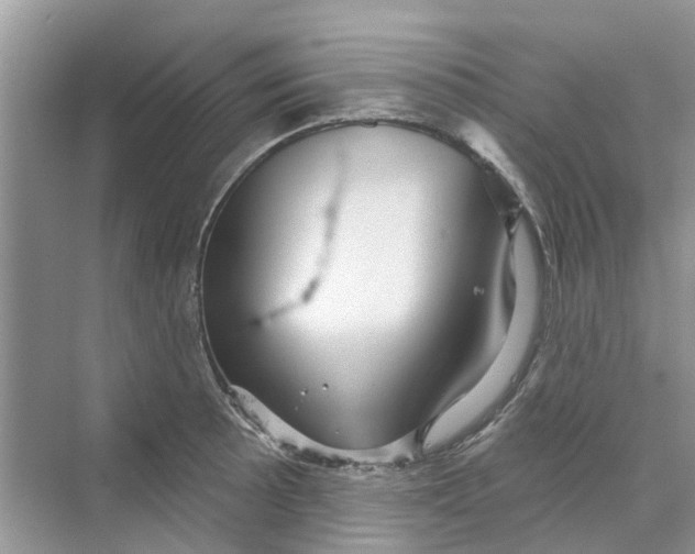 X0000069791089200606091737