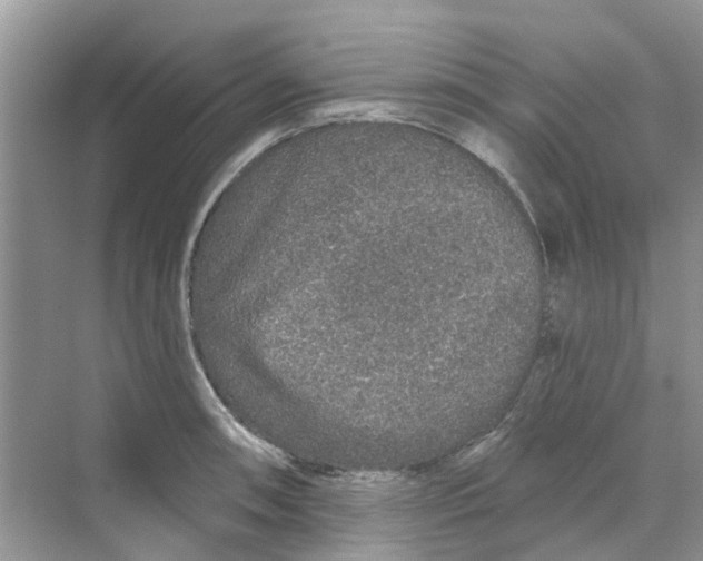 X0000069791090200606091737