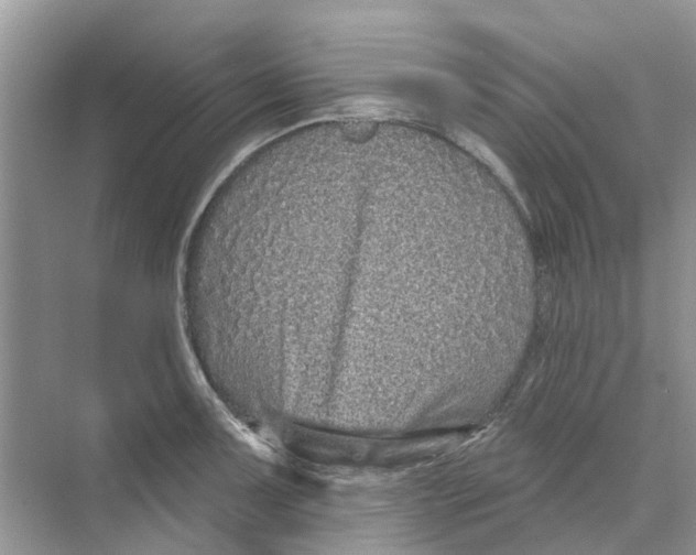 X0000069791091200606091737