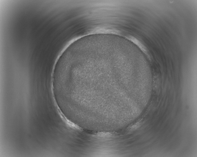 X0000069791094200606091736