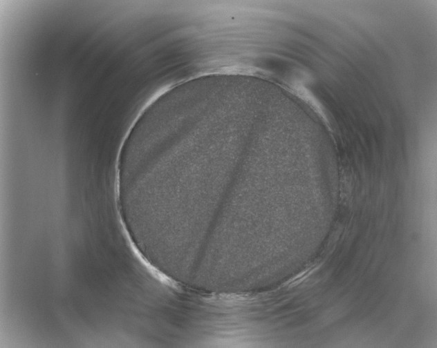 X0000069791095200606091736