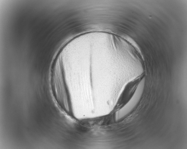 X0000069791096200606091736