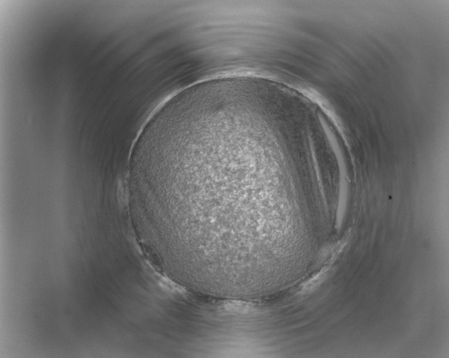 X0000069791097200606091736