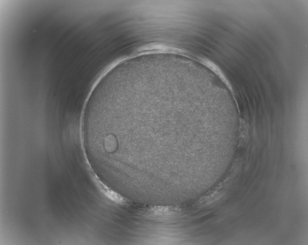 X0000069791098200606091736