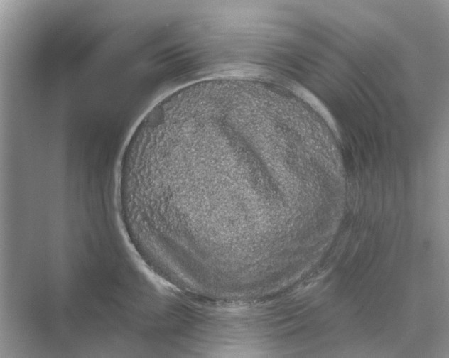 X0000069791099200606091736