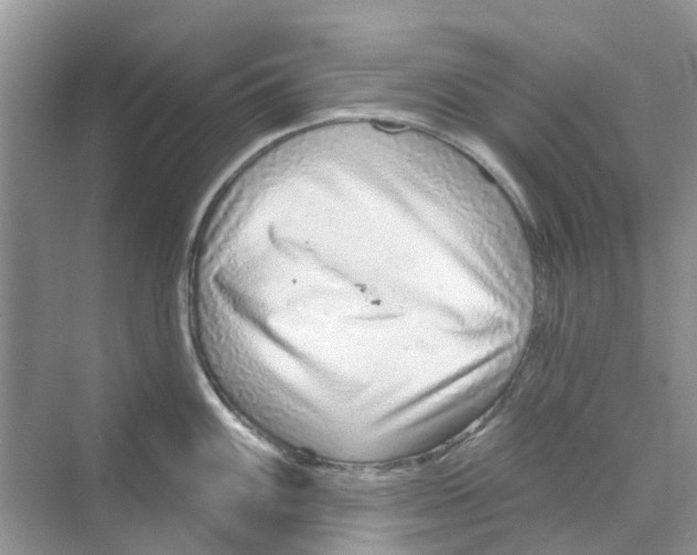 X0000069791100200606091736