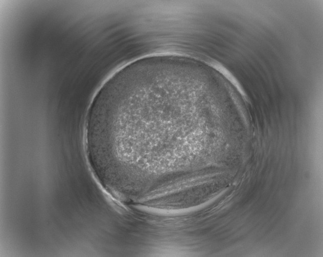 X0000069791101200606091736