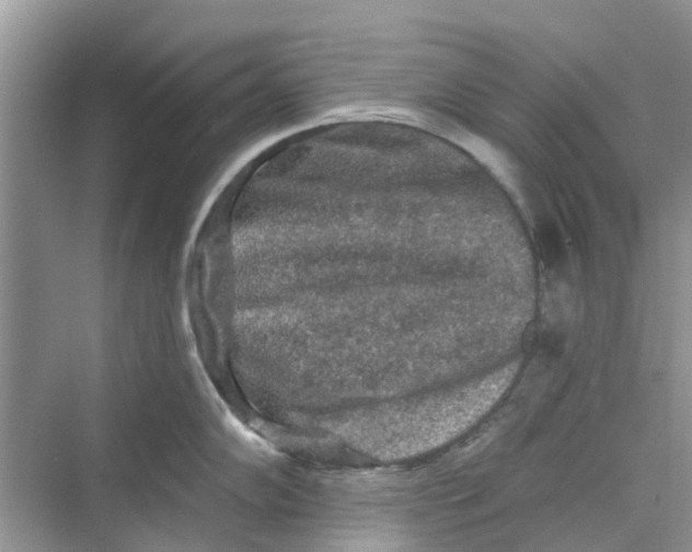 X0000069791102200606091736