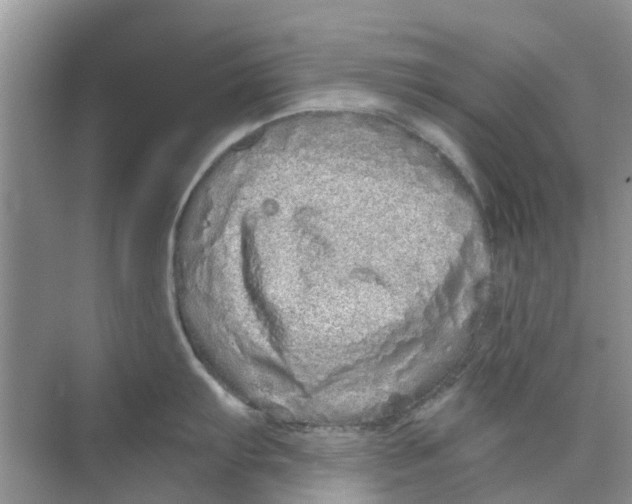 X0000069791103200606091736