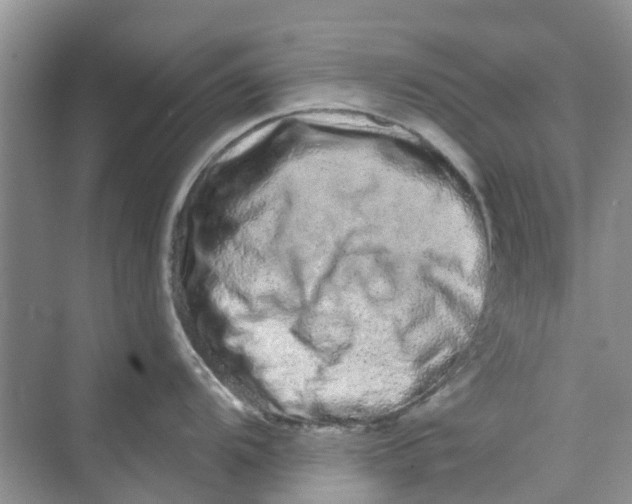 X0000069791104200606091736