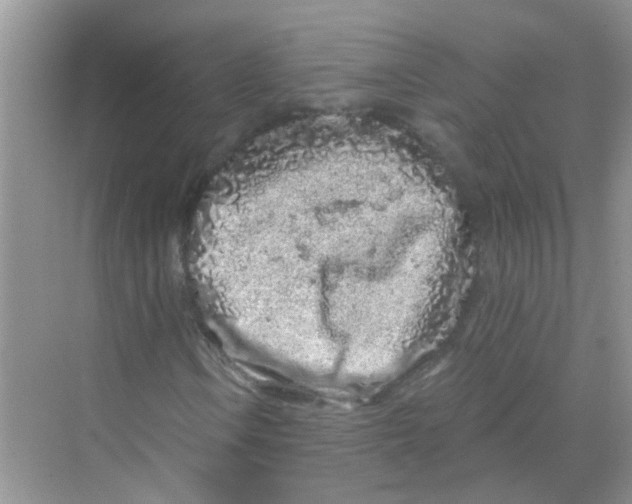 X0000069791106200606091736