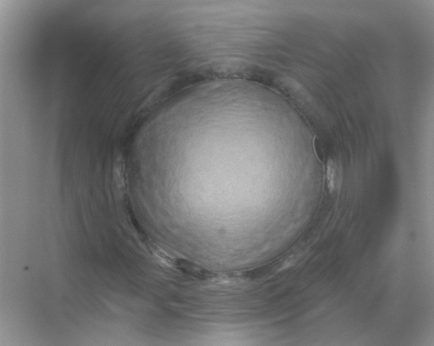 X0000069791107200606091736