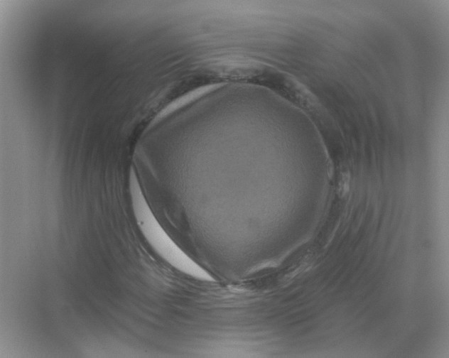 X0000069791108200606091736