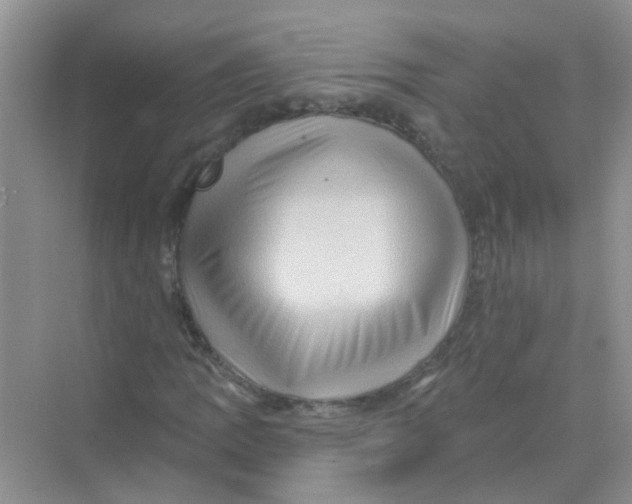 X0000069791109200606091736