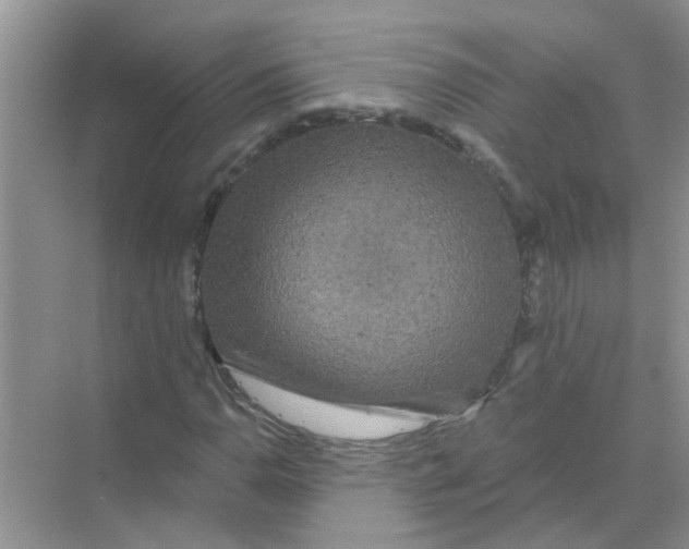 X0000069791110200606091736